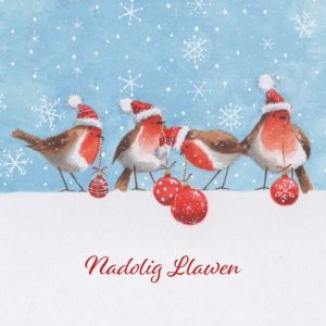 When Robins Appear - Nadolig Llawen