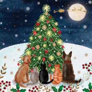 A pawesomly - purrrfect Christmas