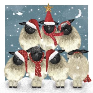 Pre-order - Fleece Navidad!